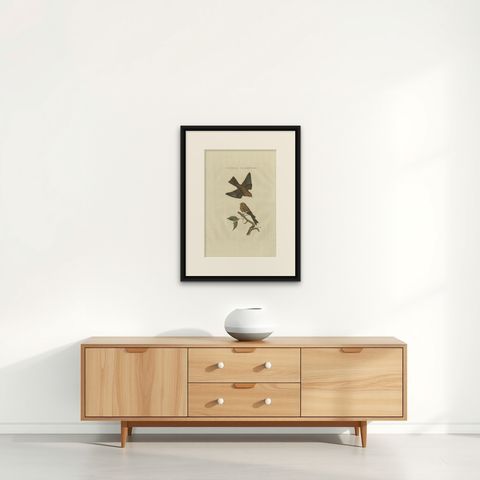 Twite, Fringilla Flavirostris, Antique Hand-Coloured Bird Print, 1809, shown framed on a wall