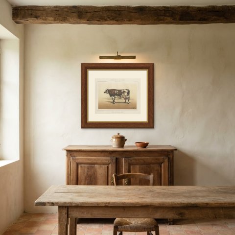 Normandy Cow, French Cattle Breed, Antique Chromolithograph by Borie, 1863, shown framed in a room