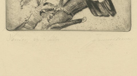 Vulture Etching, Natural History Print of the Andean Condor, ca.1880, close-up 4
