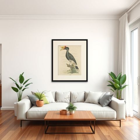 Antique Bird Print of the Rhinoceros Hornbill by Goldfuss, circa 1824, shown framed in a room