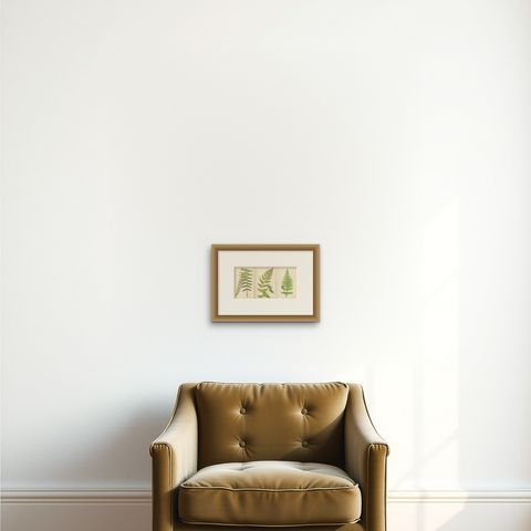 Antique Hand-Colored Fern Prints - Aspidium Acrostichoides, Cristatum, Rigidum, shown framed on a wall