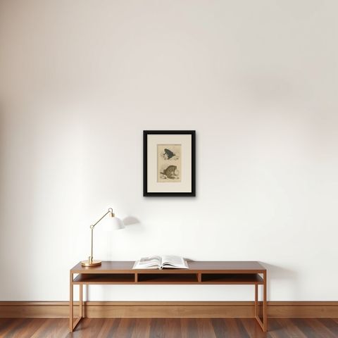 Frog Print of Cape Dactylethra and Surinam Toad, c.1850, by Orbigny, shown framed on a wall