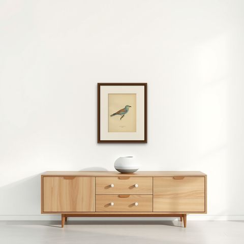 Antique Bird Print of the European Roller by Von Wright, 1927, shown framed on a wall