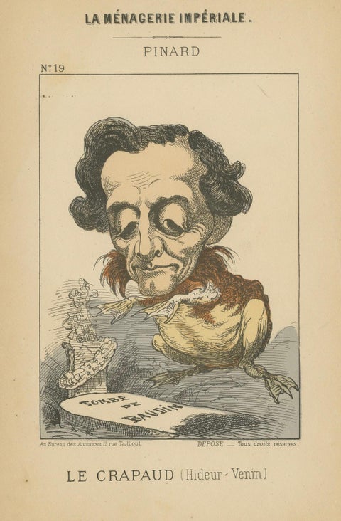 Imperial Menagerie: Pinard - The Toad (Ugliness - Venom), 1870, close-up 4