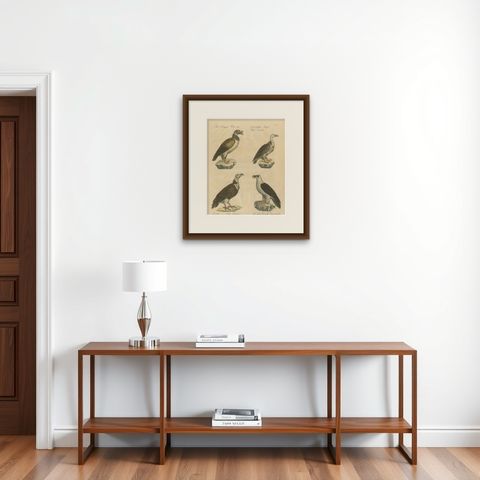 Antique Vultures & Birds of Prey Lithograph by Brodtmann, 1816, shown framed on a wall