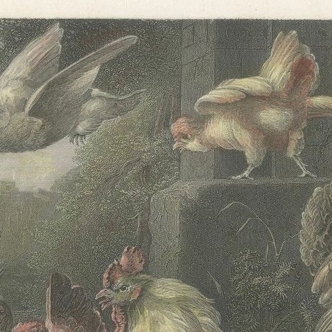 Defending the Flock: The Poultry's Stand Against the Hawk, Hand-colored ca.1860, close-up 5
