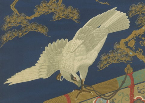 Japanese White Hawk on Pine Branch: Antique Lithograph, 1880s, close-up 2