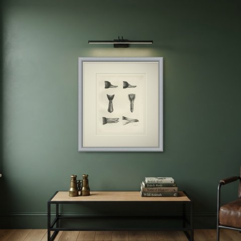 Six Studies of Duck Heads and Bills, Plate CXCVI after Lilian Medland, c. 1909, shown framed on a wall