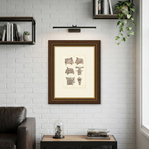 The Lining Membrane of the Nose, Antique Hirschfeld Anatomy Print, 1866, shown framed on a wall