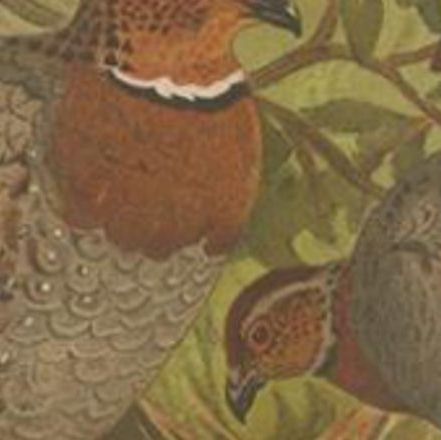 Antique Bird Print of the Bhutan Hill Partridge by Hume & Marshall, 1879, close-up 2