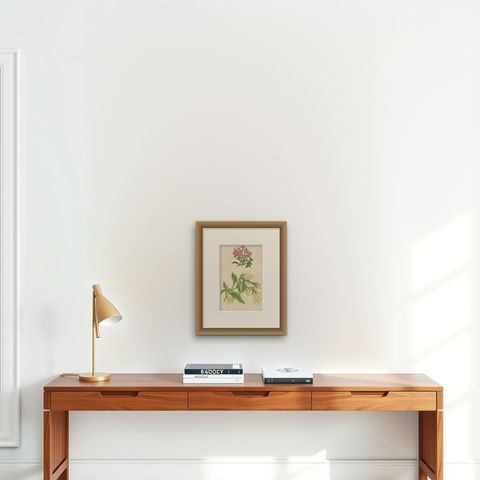 Alpine Botanical Print of Rock Soapwort and Nodding Bellflower, 1874, shown framed on a wall