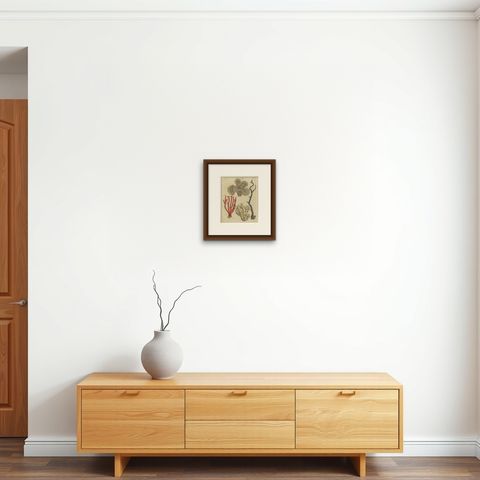 Original Antique Print of Four Corals by Bertuch, c. 1790, shown framed on a wall