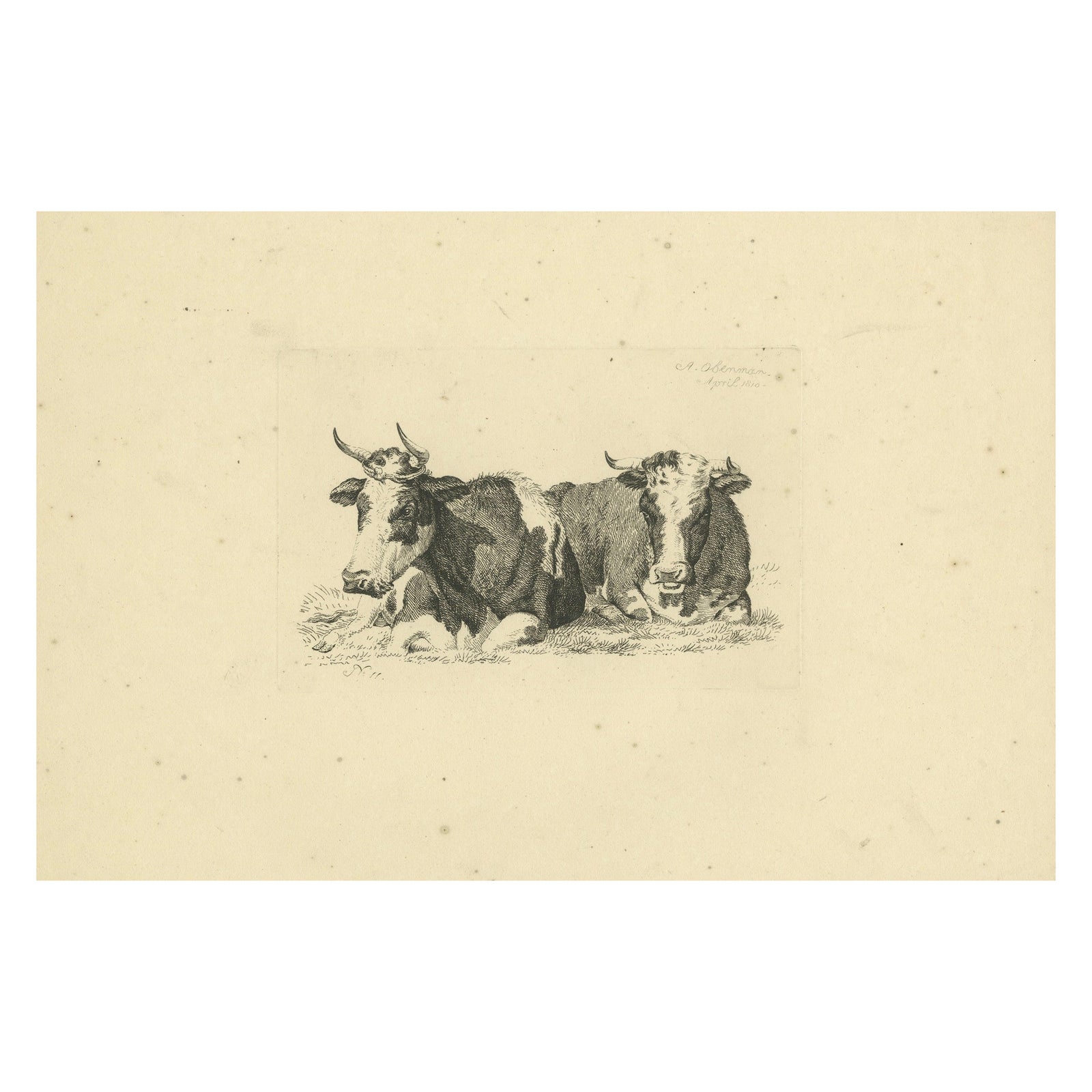 Tranquil Pastoral Scene with Two Resting Cows, by Anthony Oberman in 1810
