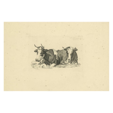 Tranquil Pastoral Scene with Two Resting Cows, by Anthony Oberman in 1810