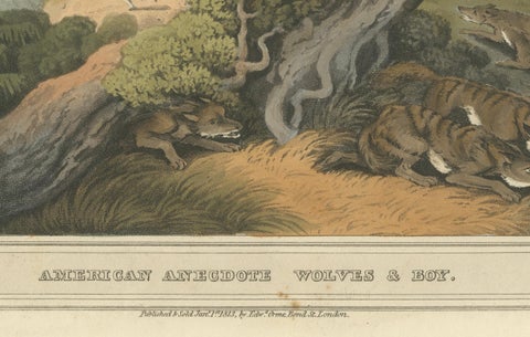 Hand-Coloured Aquatint 'American Anecdote Wolves & Boy', 1813, close-up 4