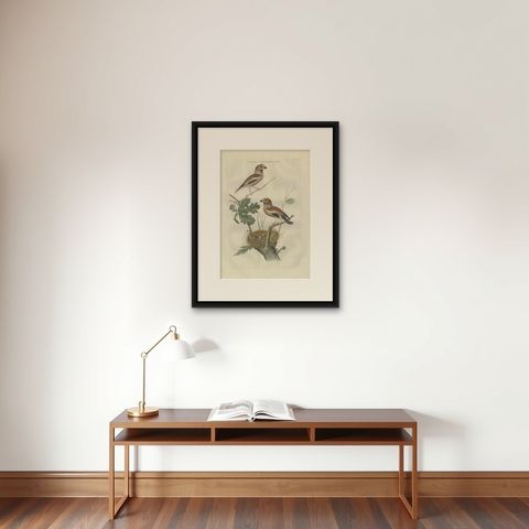 Antique Bird Print of the Hawfinch by Sepp & Nozeman, 1789, shown framed on a wall