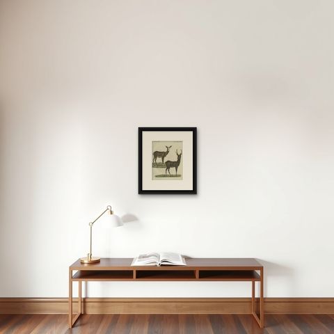Hand-Colored Antique Engraving of a Male and Female Deer, Published in 1820, shown framed on a wall