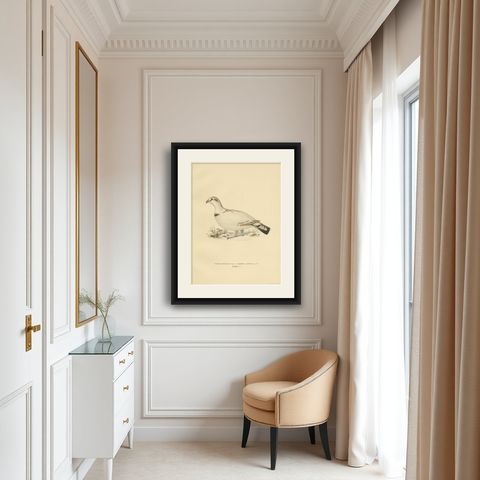 Antique Bird Print of the Western Capercaillie 'Male' by Von Wright, 1929, shown framed in a room