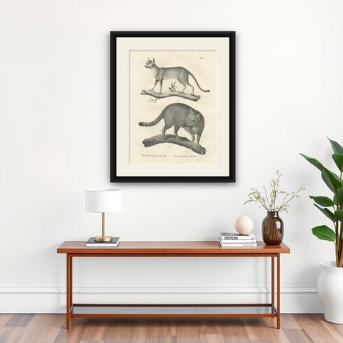 19th-Century Lithograph of the African and European Wild Cats in Natural Poses, shown framed on a wall