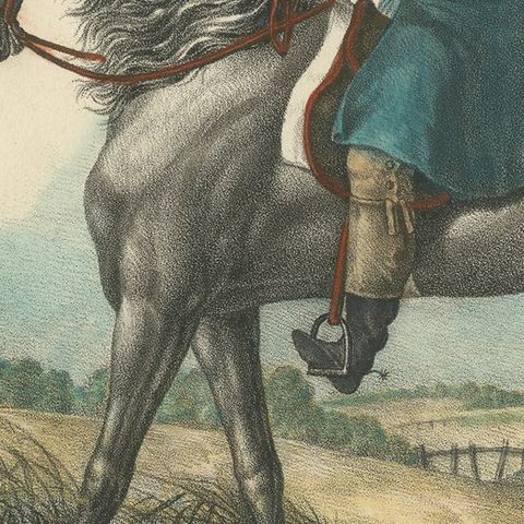 Antique Print of a Spanish Horse, close-up 2