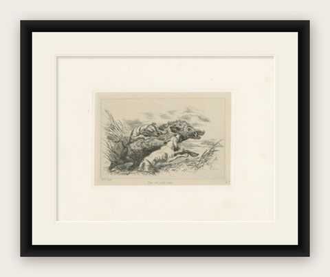 Dogs Attacking a Wild Boar, Dramatic Sporting Etching by J.F. Tayler, 1872, shown framed