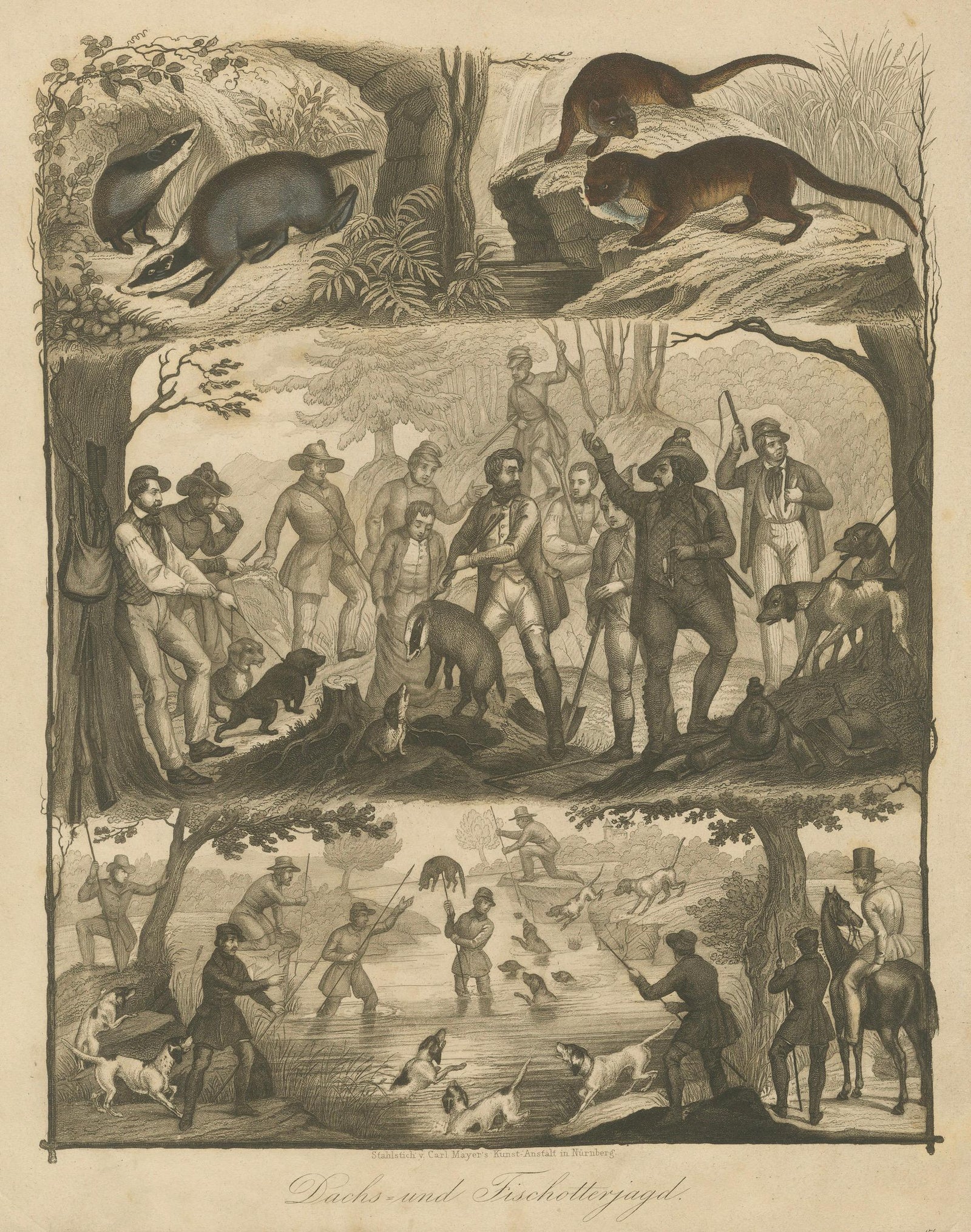 Badger and Otter Hunt, Antique German Engraving, circa 1840