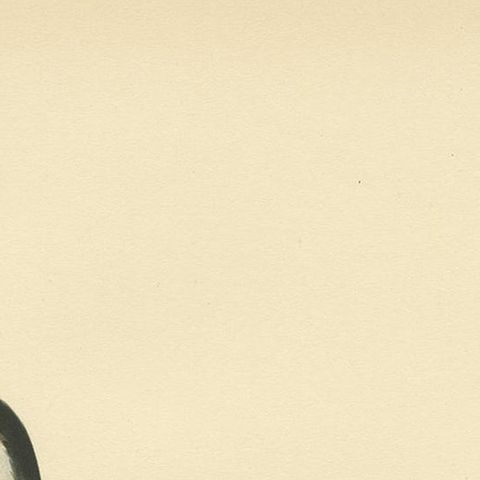 Antique Bird Print of the Common Tern 'summer' by Von Wright, 1929, close-up 1