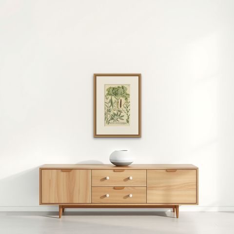 Botanical Splendor: Laburnum and Florae in 18th Century Etching, 1748, shown framed on a wall