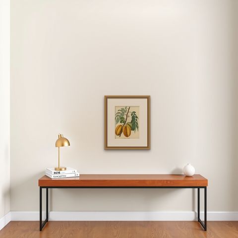 Original Antique Print of a Fruit named the Averrhoa Carambola, shown framed on a wall
