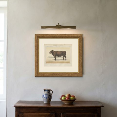 Flemish Bull, French Cattle Breed, Antique Chromolithograph by Borie, 1863, shown framed on a wall