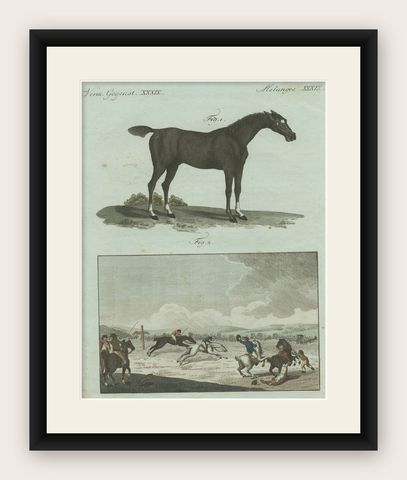 1802 Hand-Colored Print of English Racing Horse and Race Track Scene, shown framed
