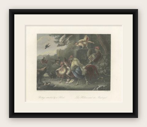 Defending the Flock: The Poultry's Stand Against the Hawk, Hand-colored ca.1860, shown framed