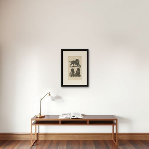 Antique Print of Various Dog Breeds 'Tab LXX' by J. Jonston, 1657, shown framed on a wall