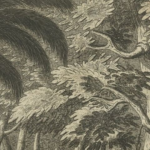 Antique Print of an Army in the Woods., Riding an Elephant in Ceylon, 1726, close-up 1