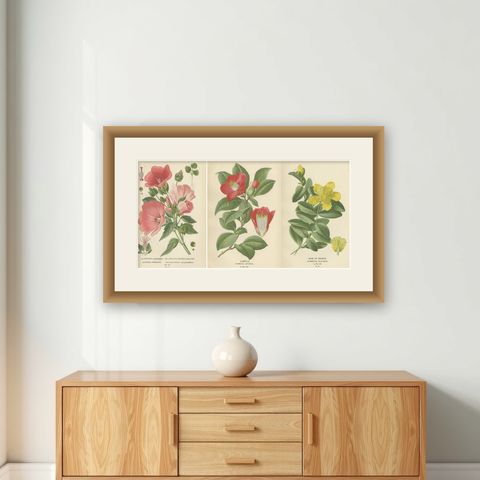 Botanical Elegance: A Triptych of 19th-Century Floral Art, 1896, shown framed on a wall