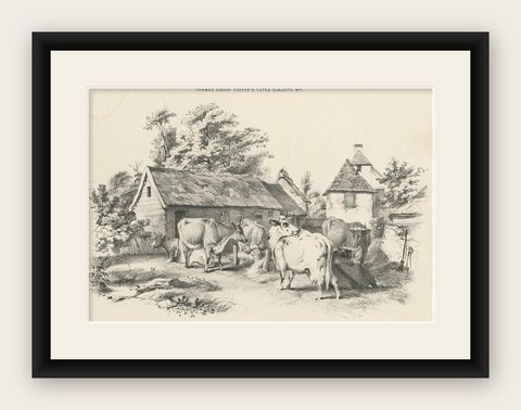 No. 7 Antique Print of Cattle by Cooper, shown framed
