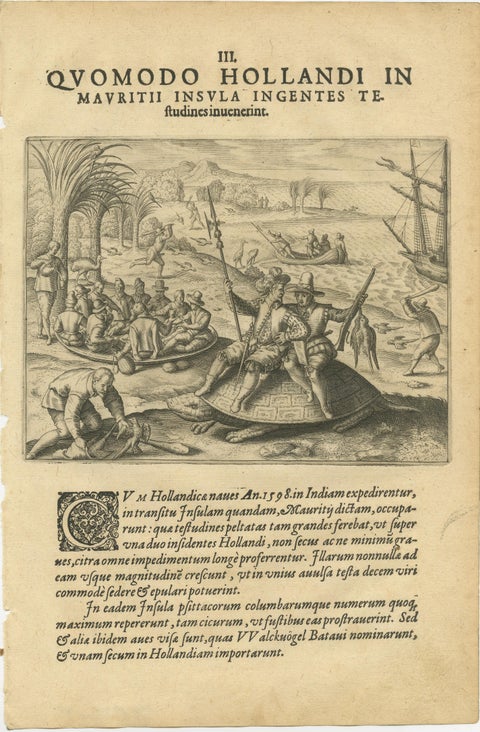 Exotic Encounters: Giant Crabs, Tortoises, Whales, and Cockfights - De Bry, 1598, view 4