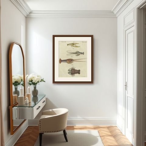 Original Antique Print of a various Lobster and Shrimp, shown framed in a room