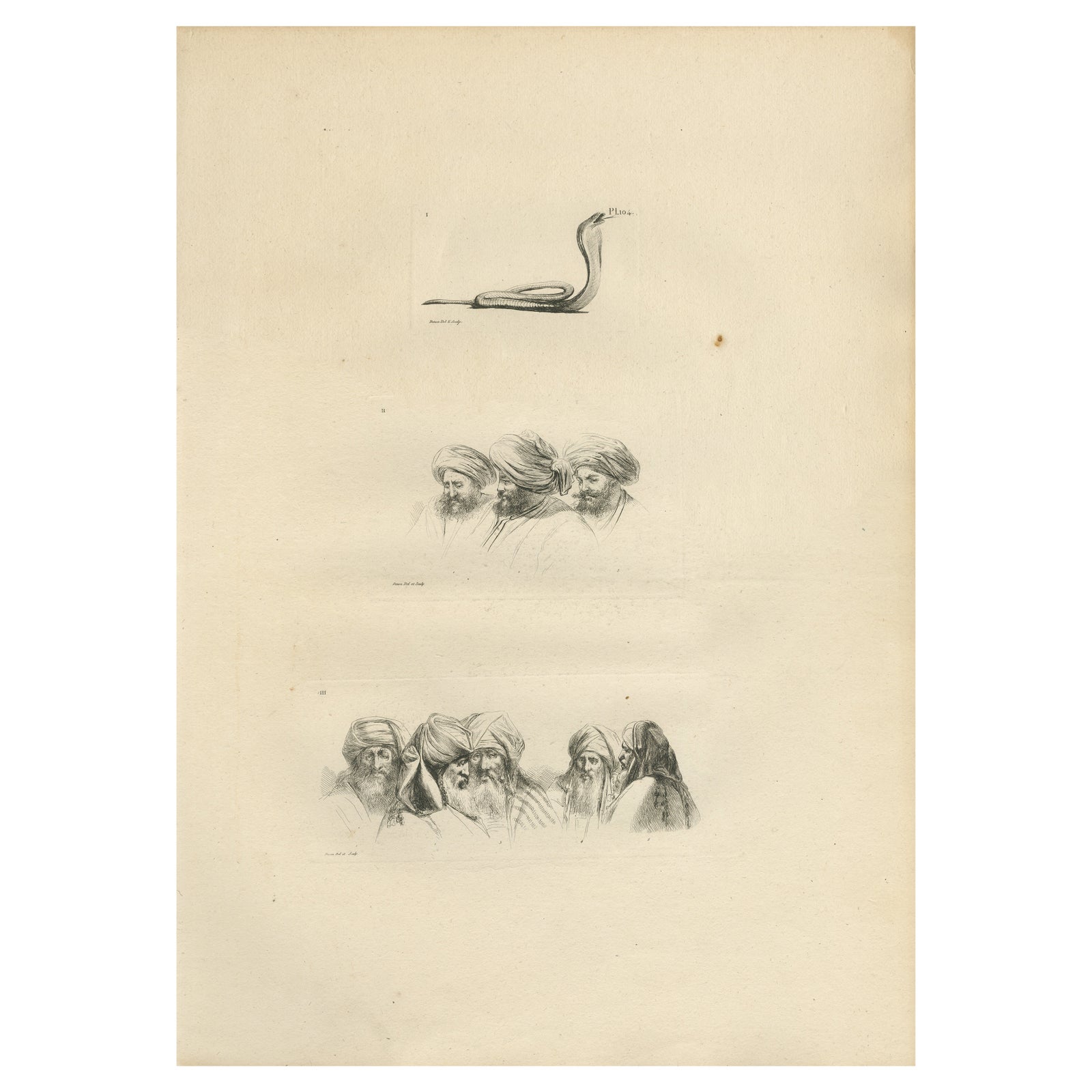 Comparative Head Studies and Cobra, Egypt, Antique Engraving, c.1802