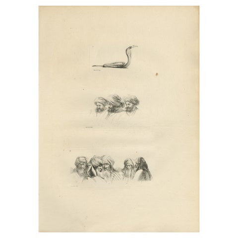 Comparative Head Studies and Cobra, Egypt, Antique Engraving, c.1802