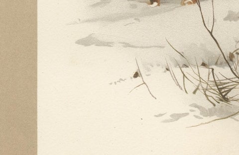 Common Fox in Winter Landscape, Antique Animal Chromolithograph, 1894, view 5