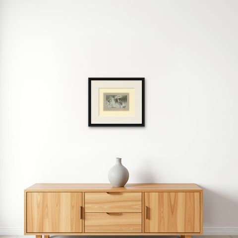 Antique Bird Print of a Grey Heron, shown framed on a wall