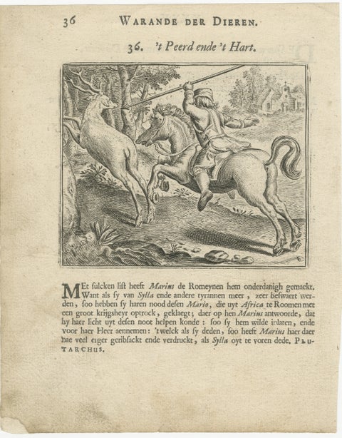 1617 Horse and Deer Engraving by Vondel, Warande der Dieren, view 2