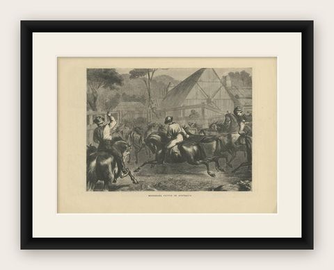 Antique Farm Print of Mustering Cattle in Australia, 1871, shown framed