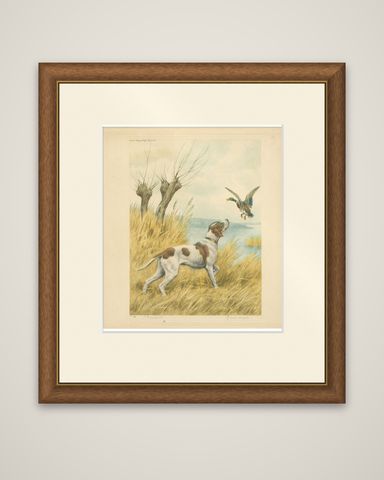 Vintage Hunting Dog Lithograph “Pointer & Mallard” by Paul Wood, New York, 1930, shown framed