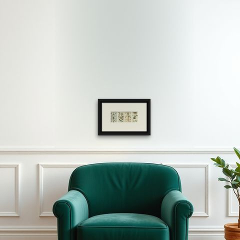 Captivating Natural History Prints: Insects, Life Cycles and Rare Details, 1832, shown framed on a wall