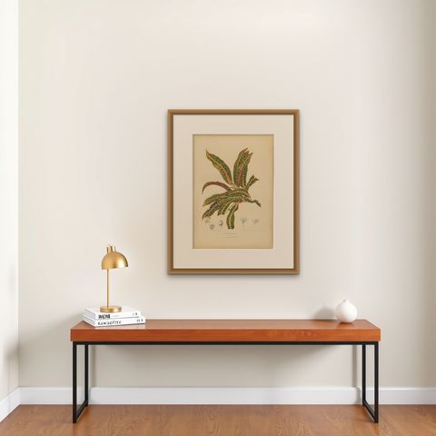 Original Garden Croton (Joseph's Coat) Botanical Chromolithograph, c. 1880, shown framed on a wall