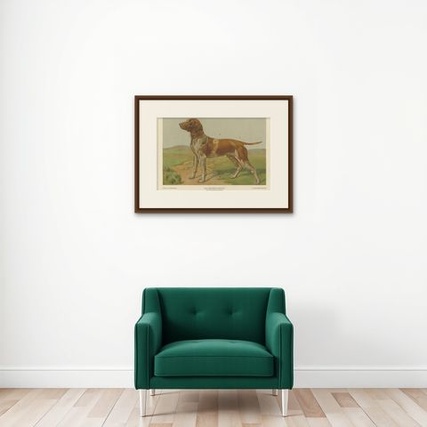 Antique Print of a Hound Dog by Th. Breidwiser, 1879, shown framed on a wall