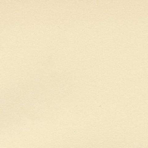 Antique Bird Print of the White Wagtail by Von Wright, 1927, close-up 1