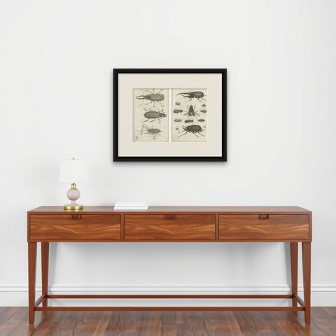 Pair of Antique Engravings of Beetles & Insects from Diderot’s Encyclopédie 1770, shown framed on a wall